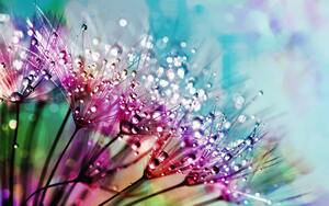 beautiful-blur-blurred-background_B2B0C4.jpg